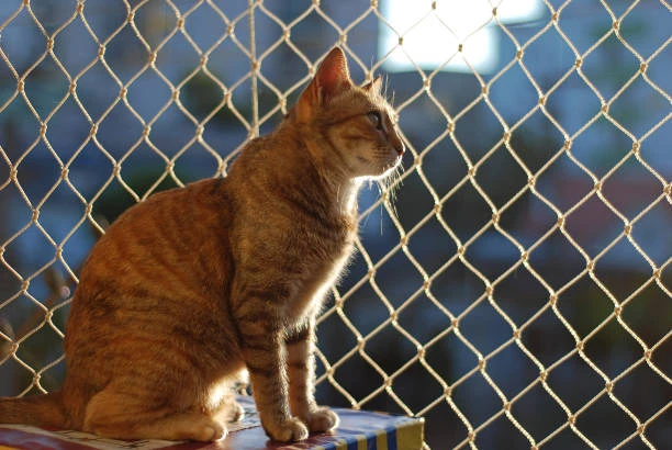 Rede para gatos de janela