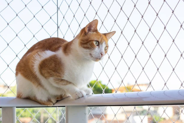 Tela de proteção para gatos